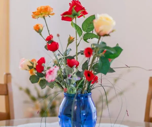 Apartament Prkacin *