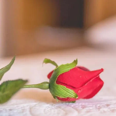 Apartman Apartmani Prkacin Trogir