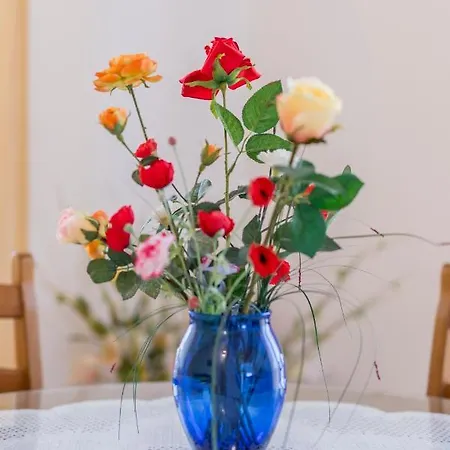Apartament Prkacin *